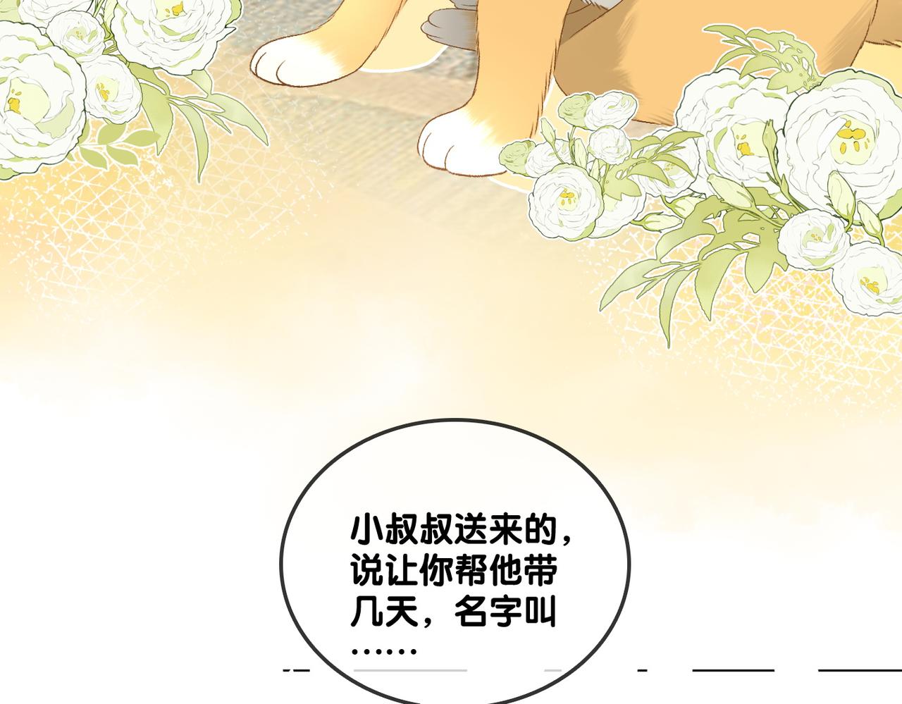 第63话 猫狗双全9