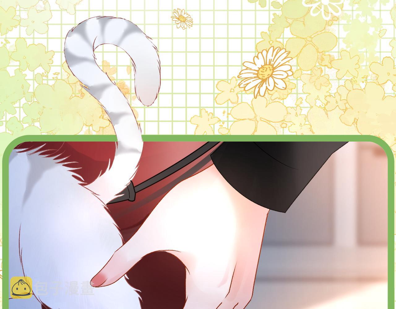 第20话 腹黑影帝训猫记32