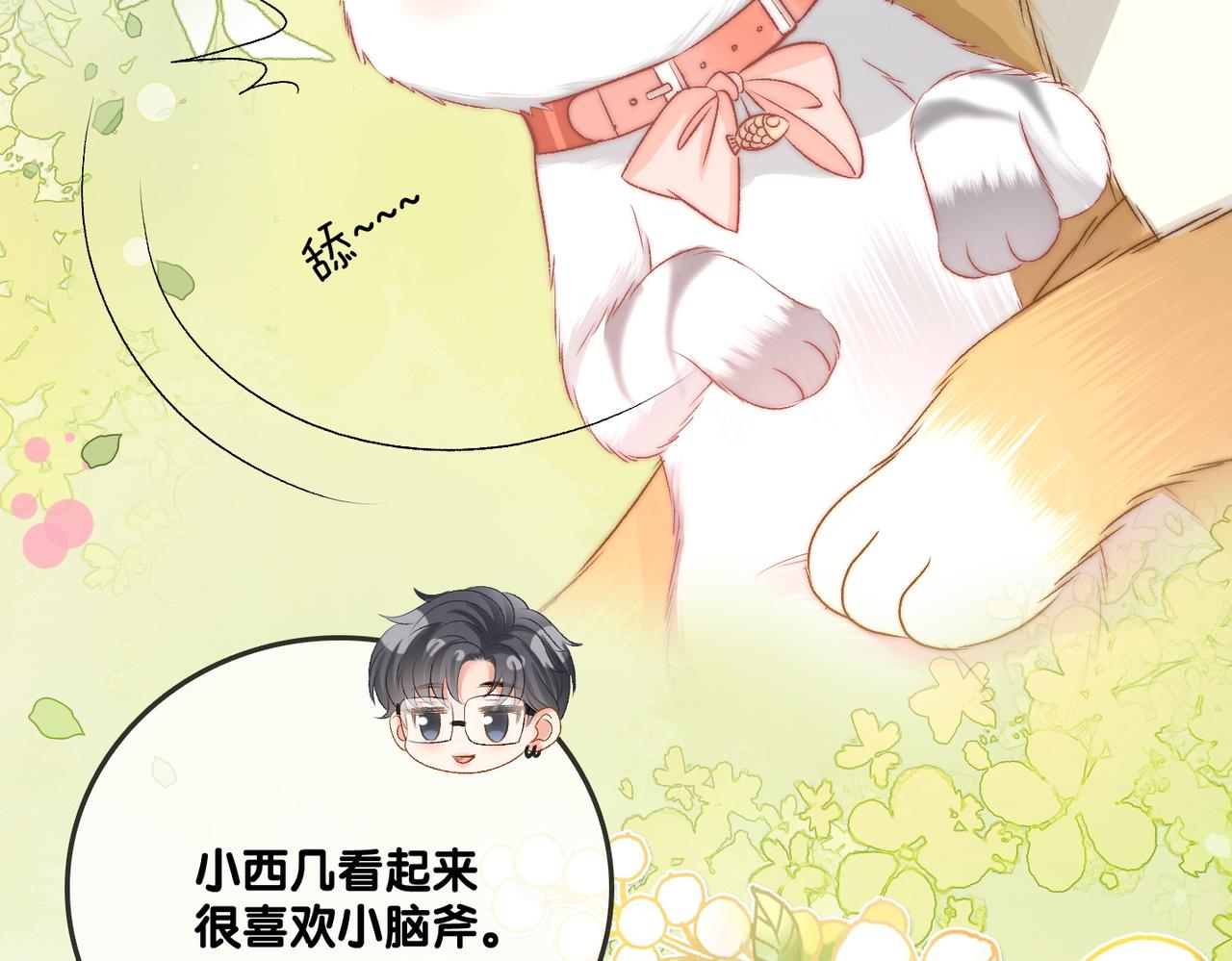 第63话 猫狗双全19