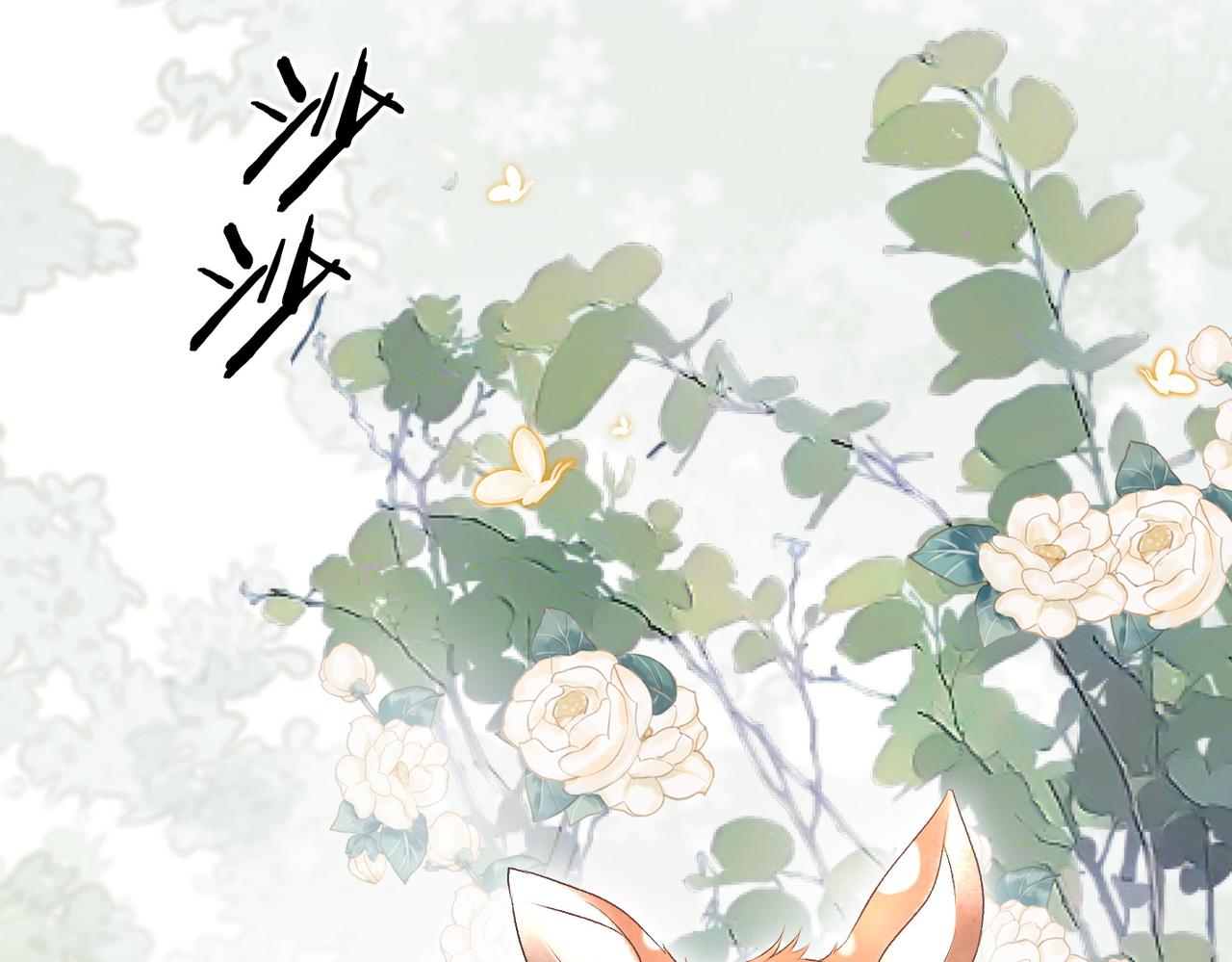 第50话 绝美森林拍摄43