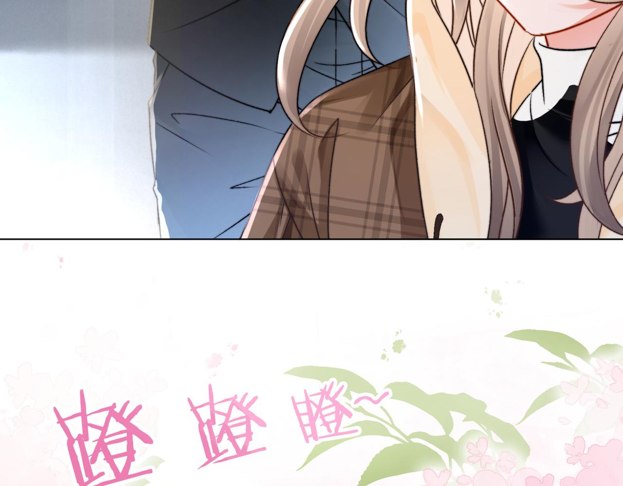 第14话 护兔狂魔123