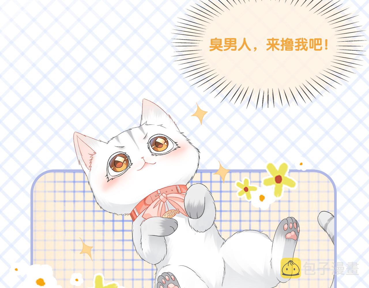 第23话 吃猫猫的醋11