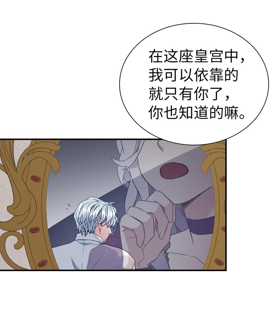 13 紫罗兰糖饼26