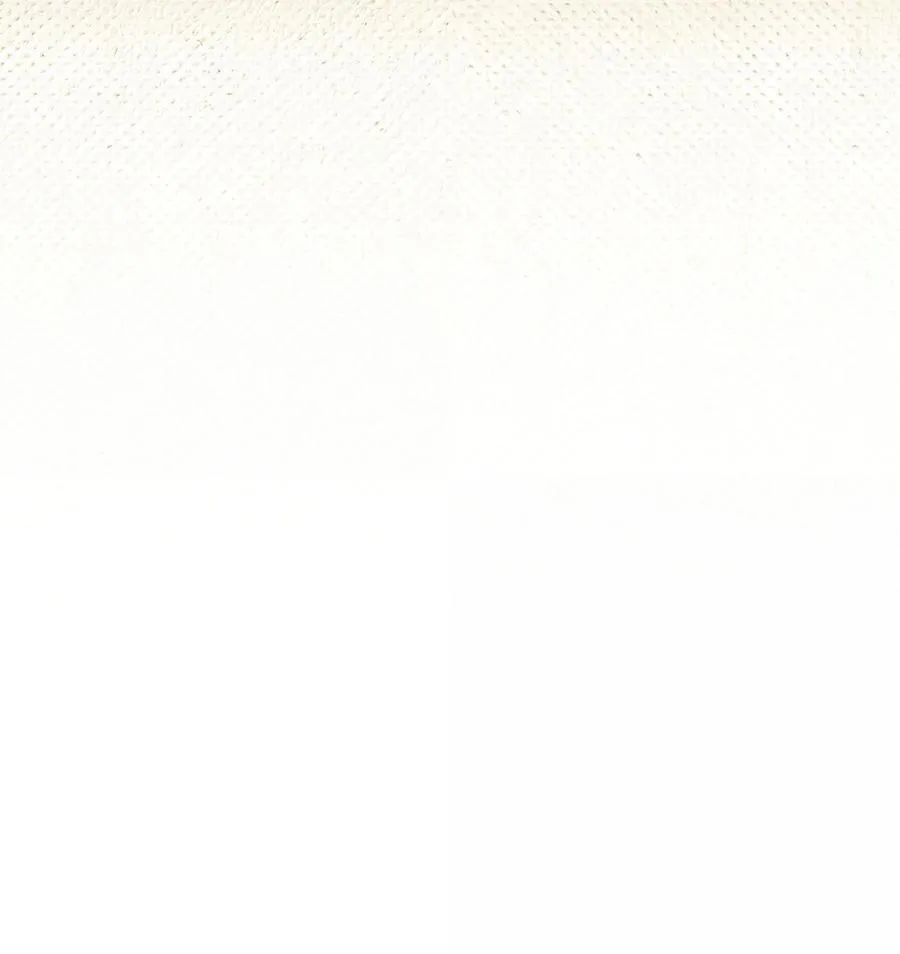 113 诱人的条件79