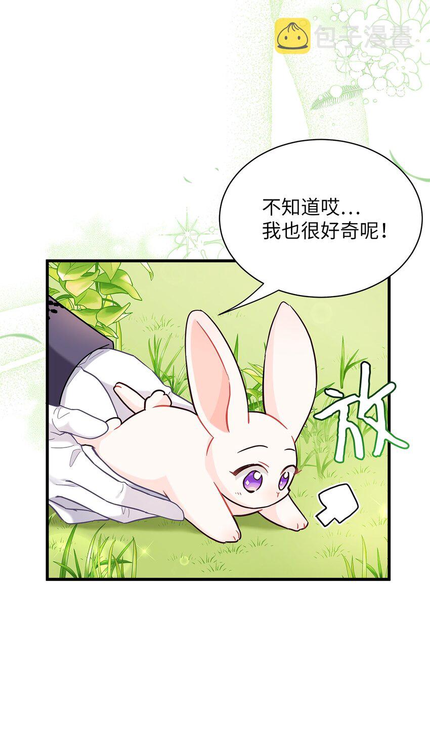 63 双厨狂喜70