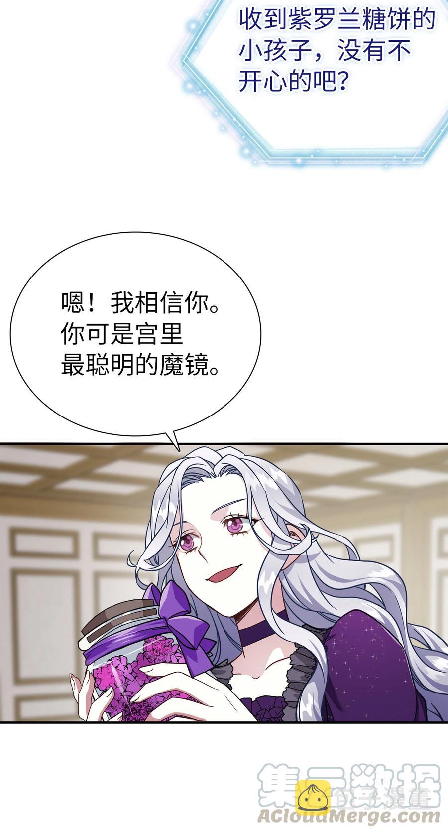13 紫罗兰糖饼39