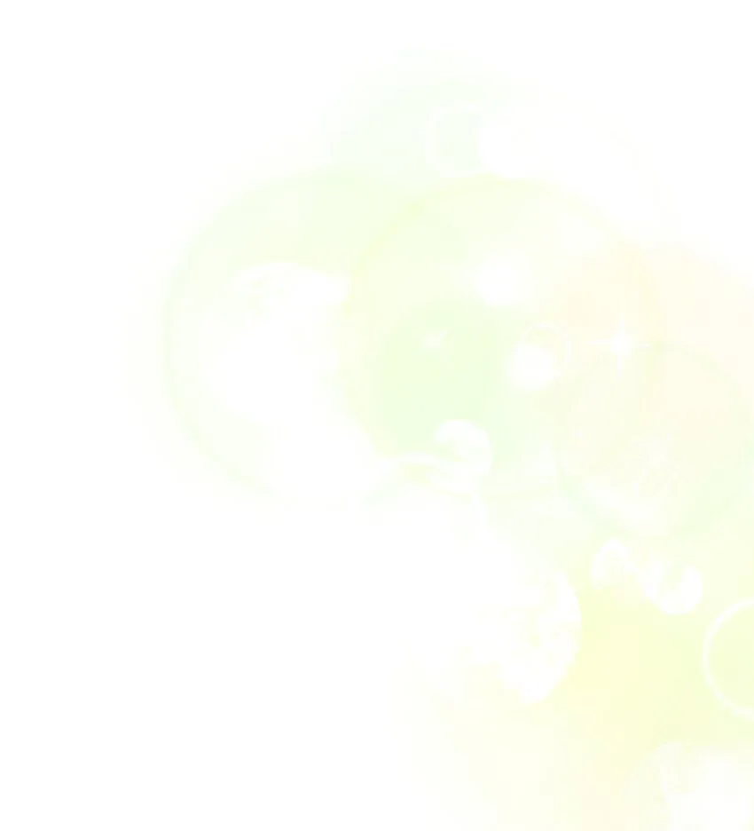 88 百合的花期13