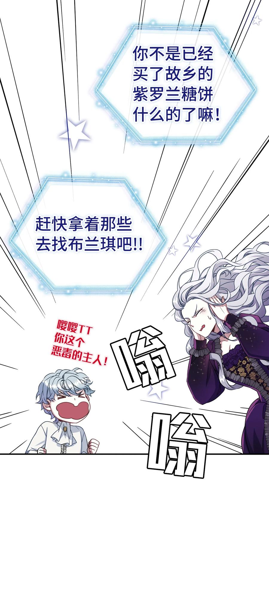 13 紫罗兰糖饼19