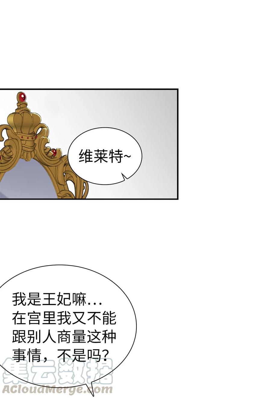 13 紫罗兰糖饼24