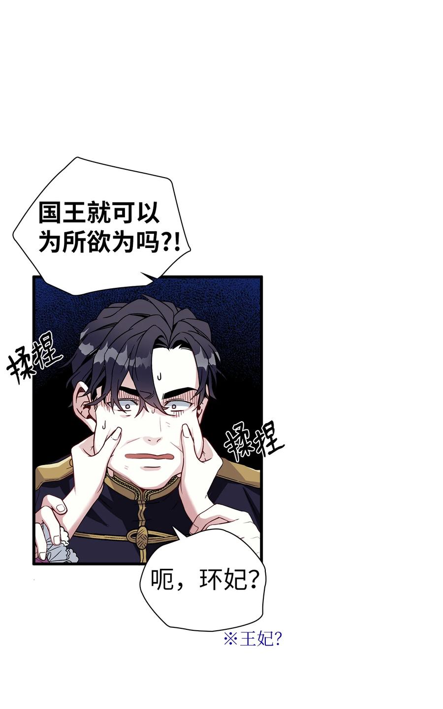 22 王妃发疯50