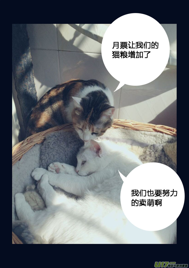 八十七 皇牌15