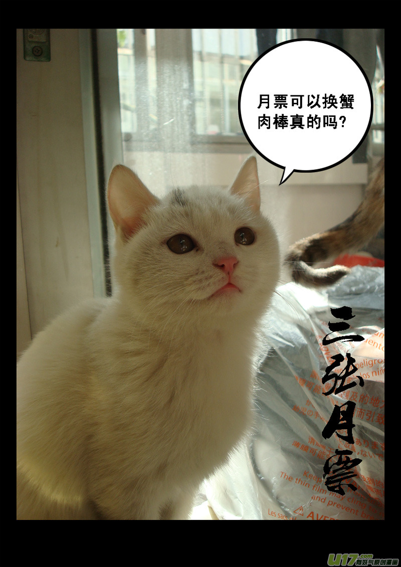 九十七 秘境11
