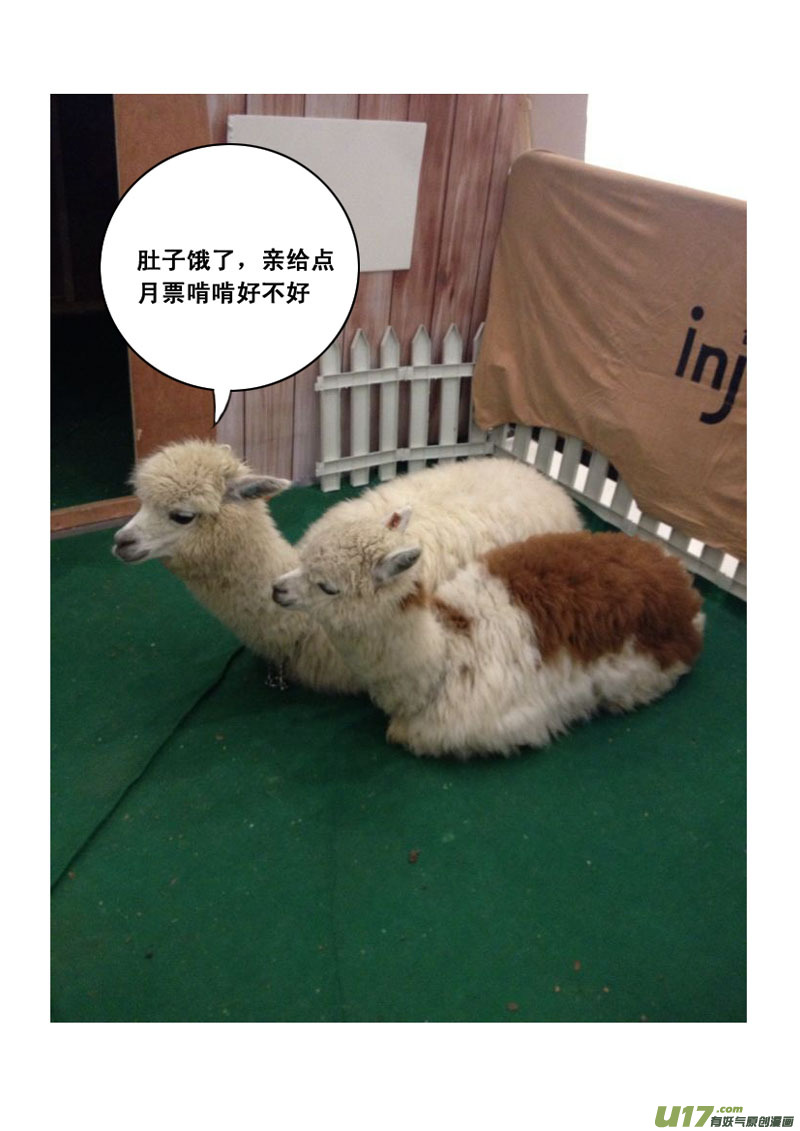 一百零二 伙伴13