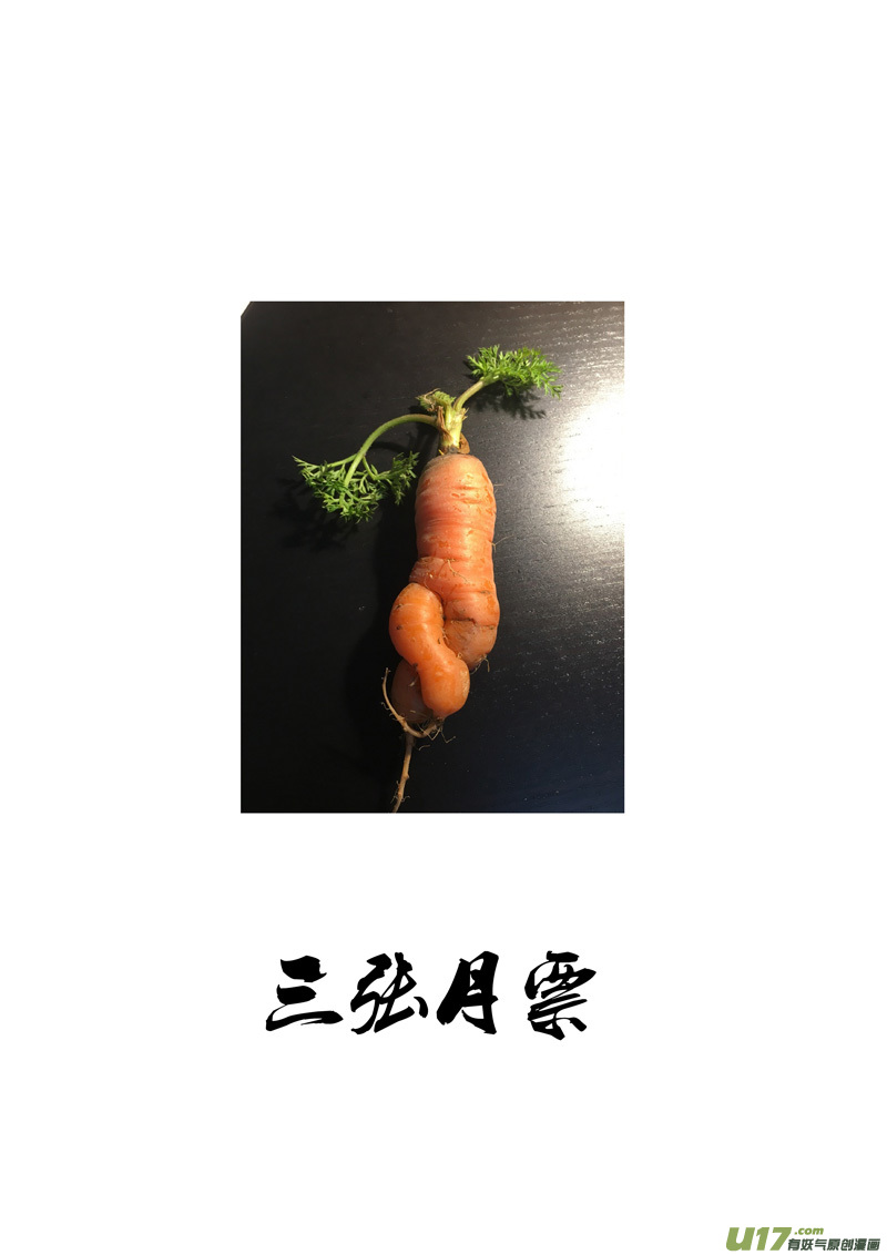 二三八 入侵16