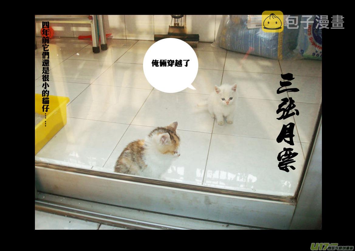 九十五 随风20