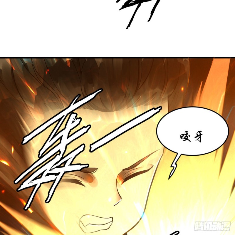 228 胸有骨板，坚不可摧85