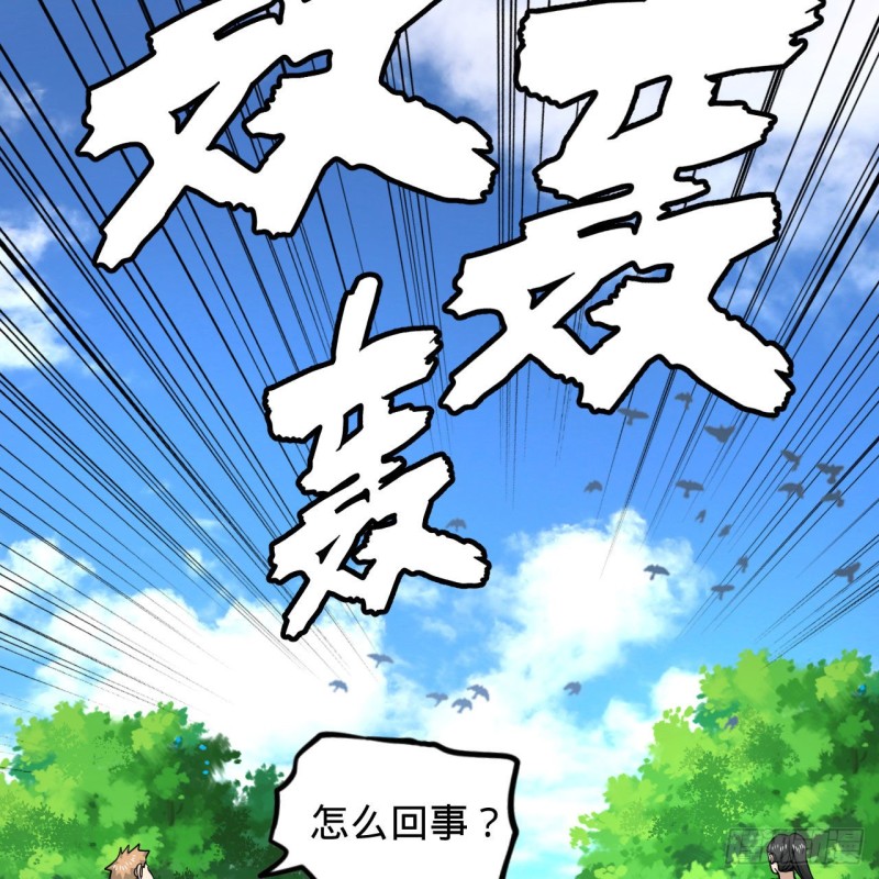228 胸有骨板，坚不可摧87