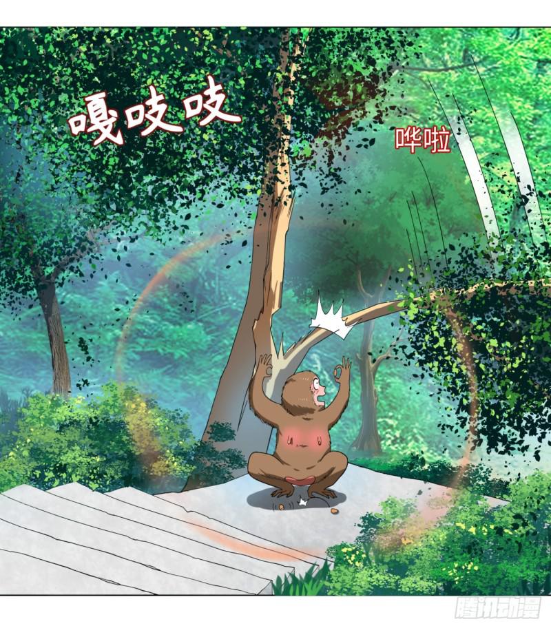 35回 为师教你打人224