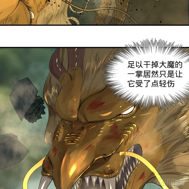 113回 仙帝级别！73