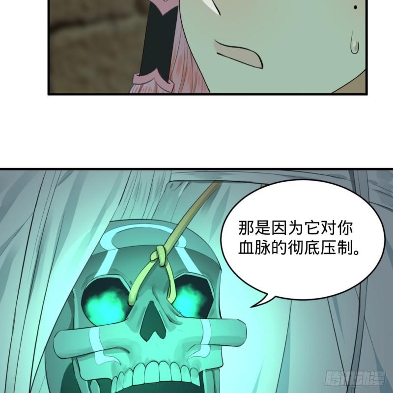 113回 仙帝级别！48