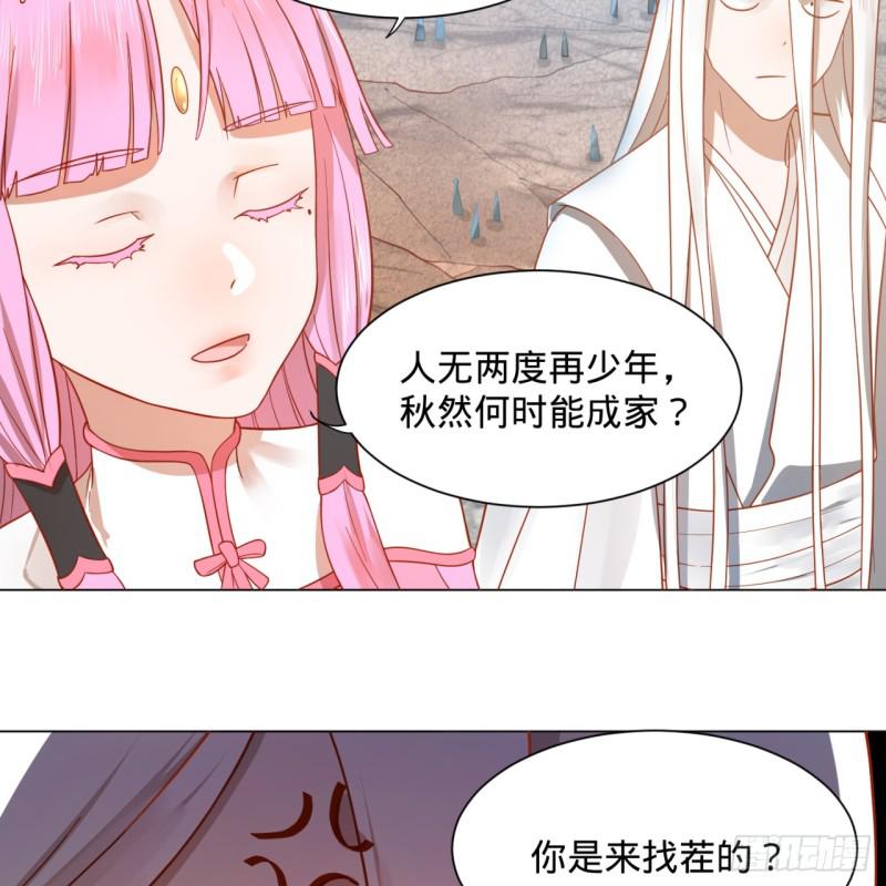 74回 战斗鸡6