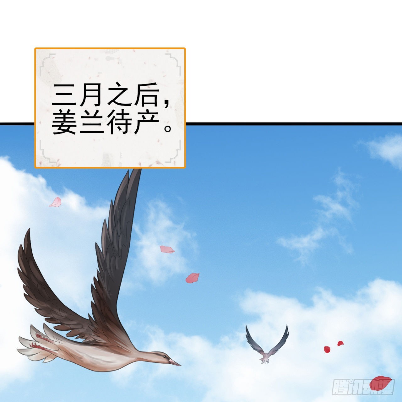 290回 白续香2