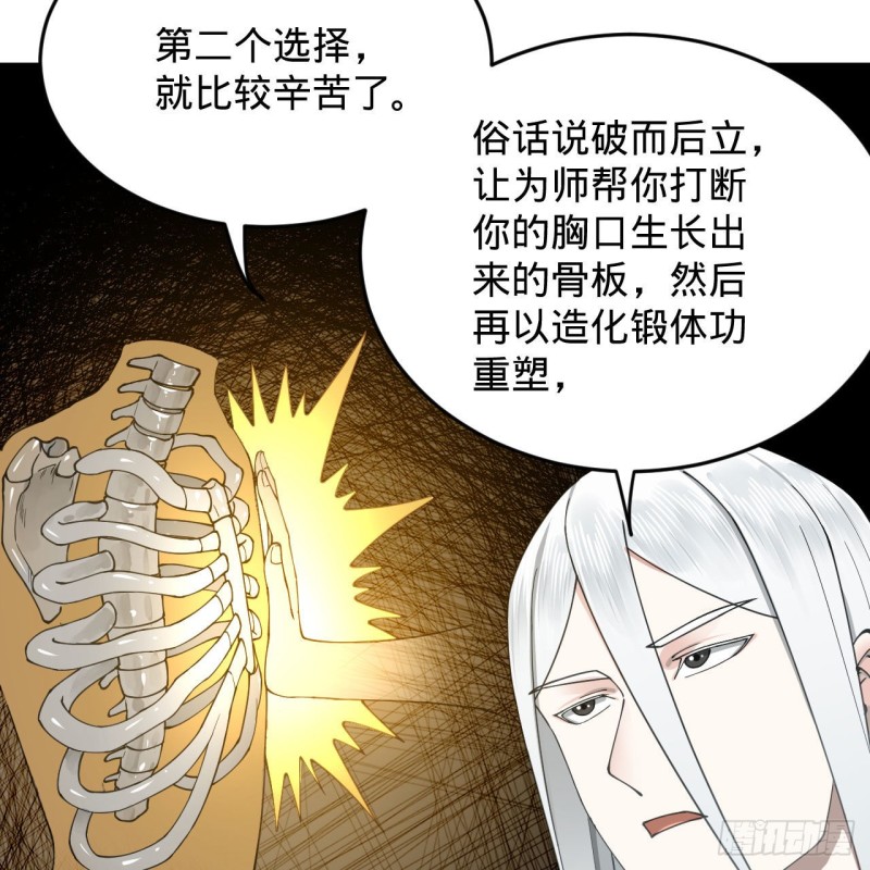 228 胸有骨板，坚不可摧66