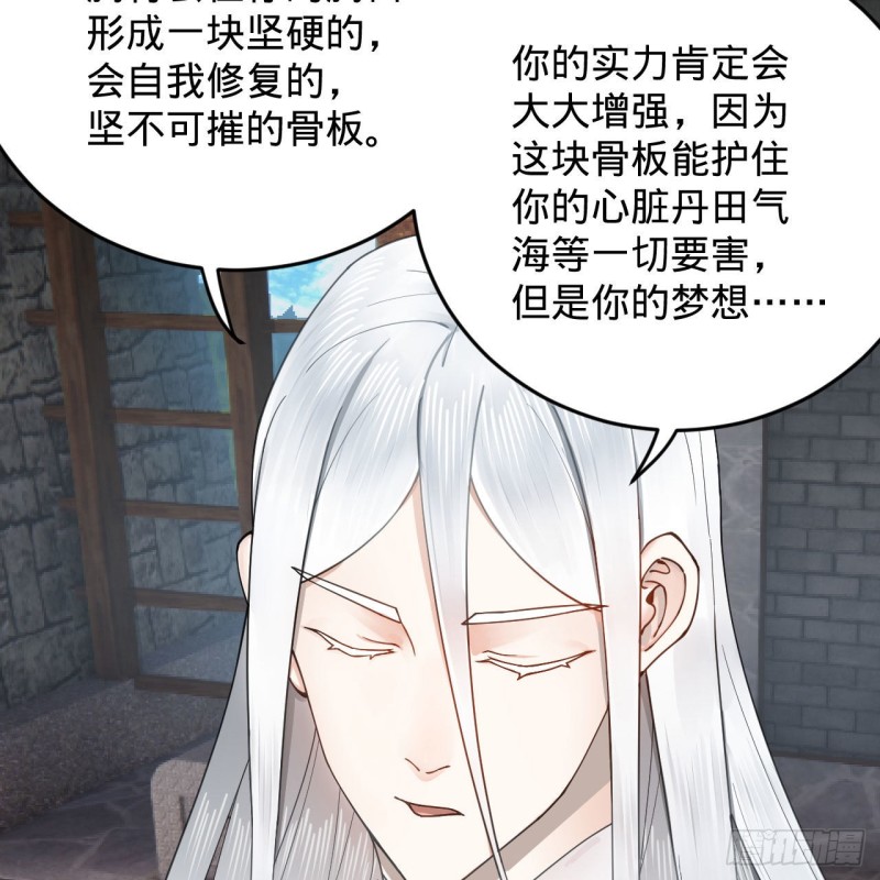 228 胸有骨板，坚不可摧46