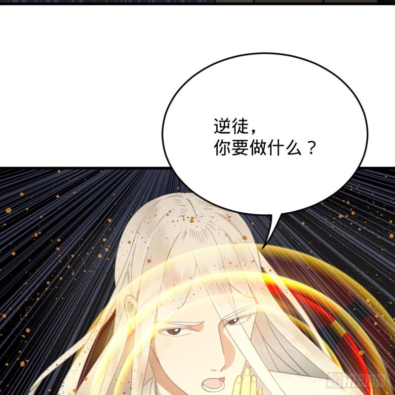 228 胸有骨板，坚不可摧12