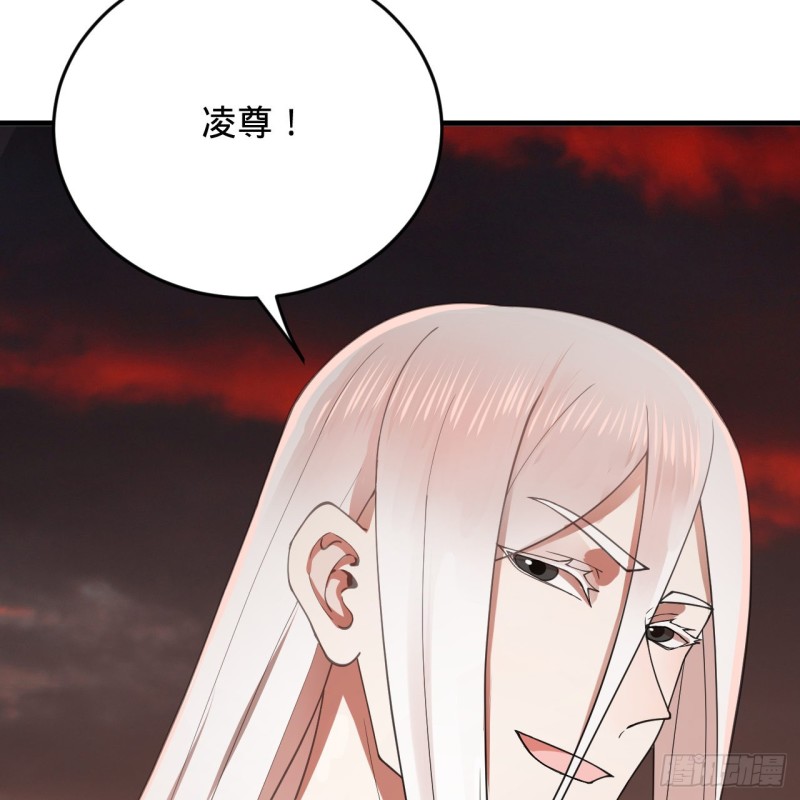 210回 实心铁木的反甲23