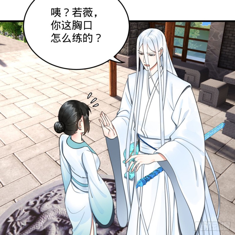 228 胸有骨板，坚不可摧31
