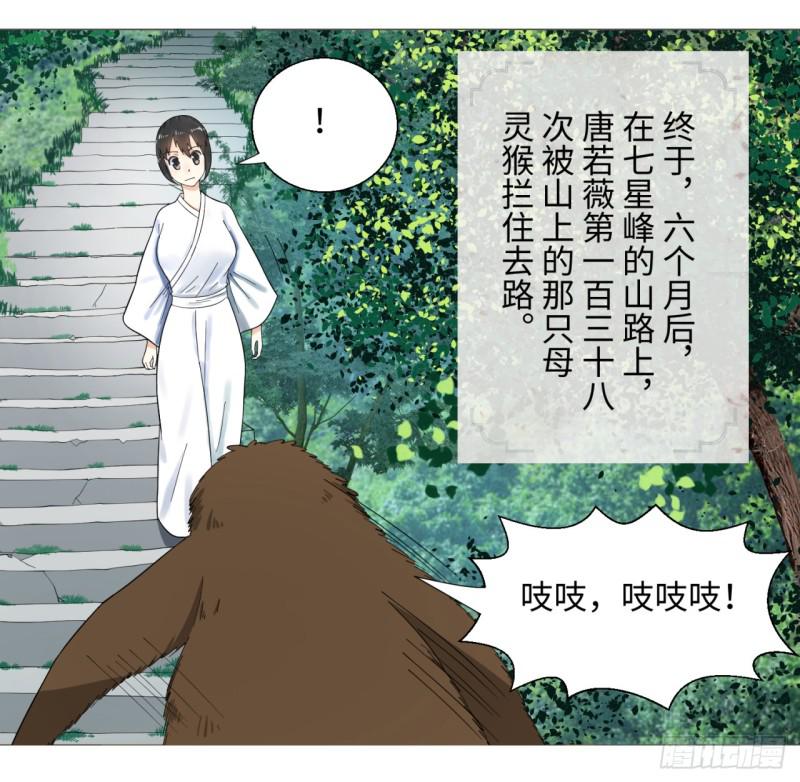 35回 为师教你打人218