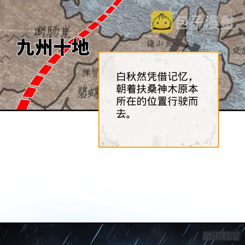 180回 铁树真的开花了！76