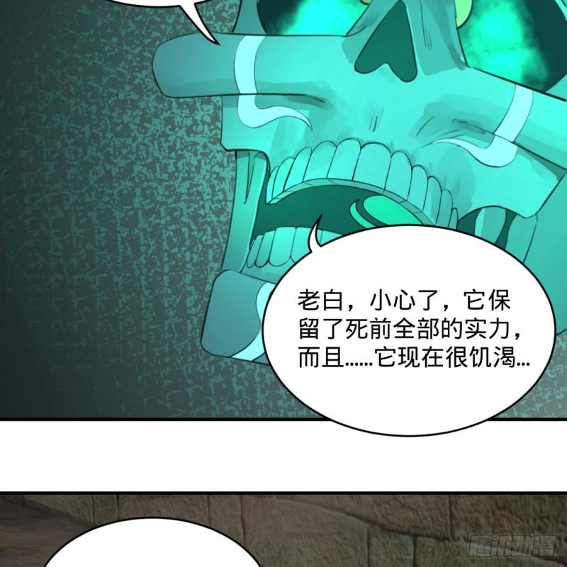 113回 仙帝级别！51