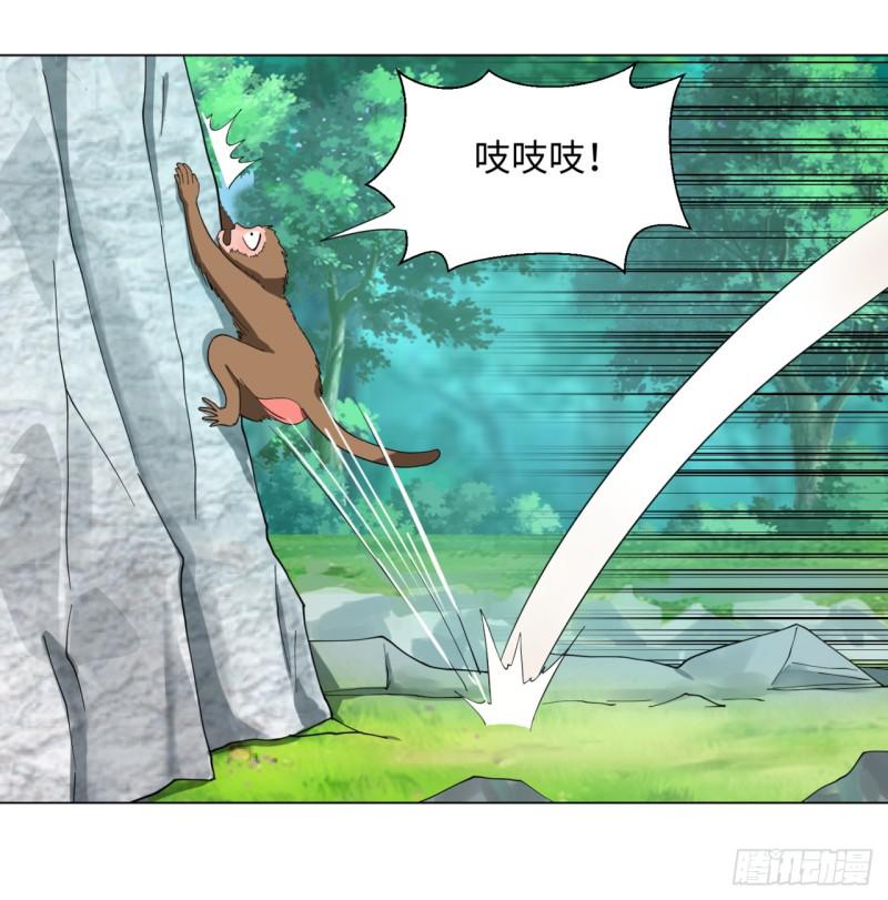 35回 为师教你打人231