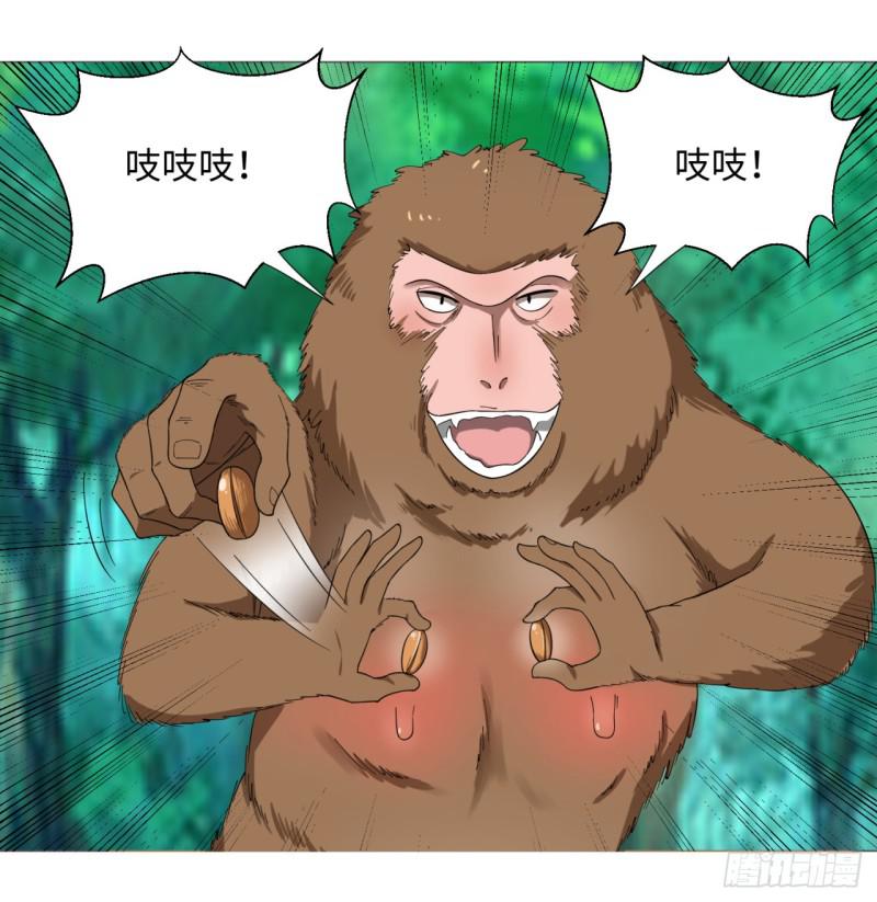 35回 为师教你打人219