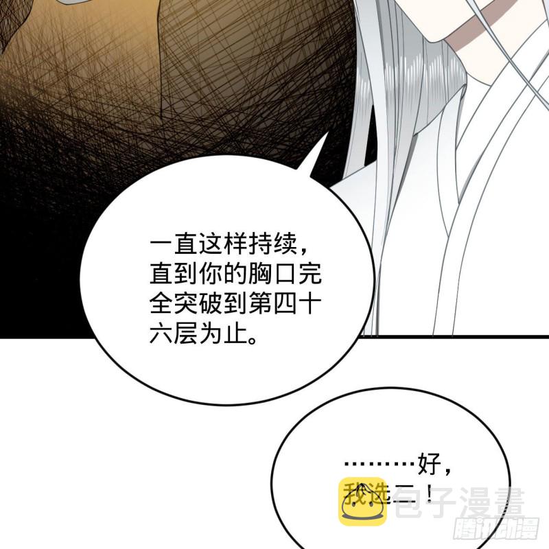 228 胸有骨板，坚不可摧67