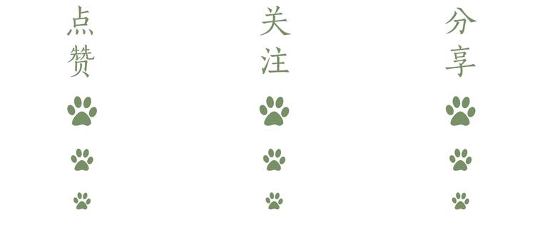 第3话 我在142