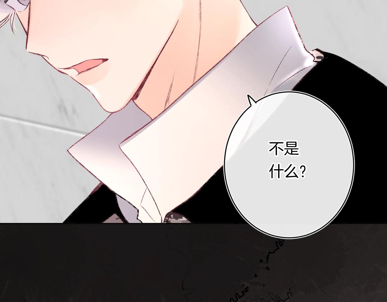 第93话 小少夫人48