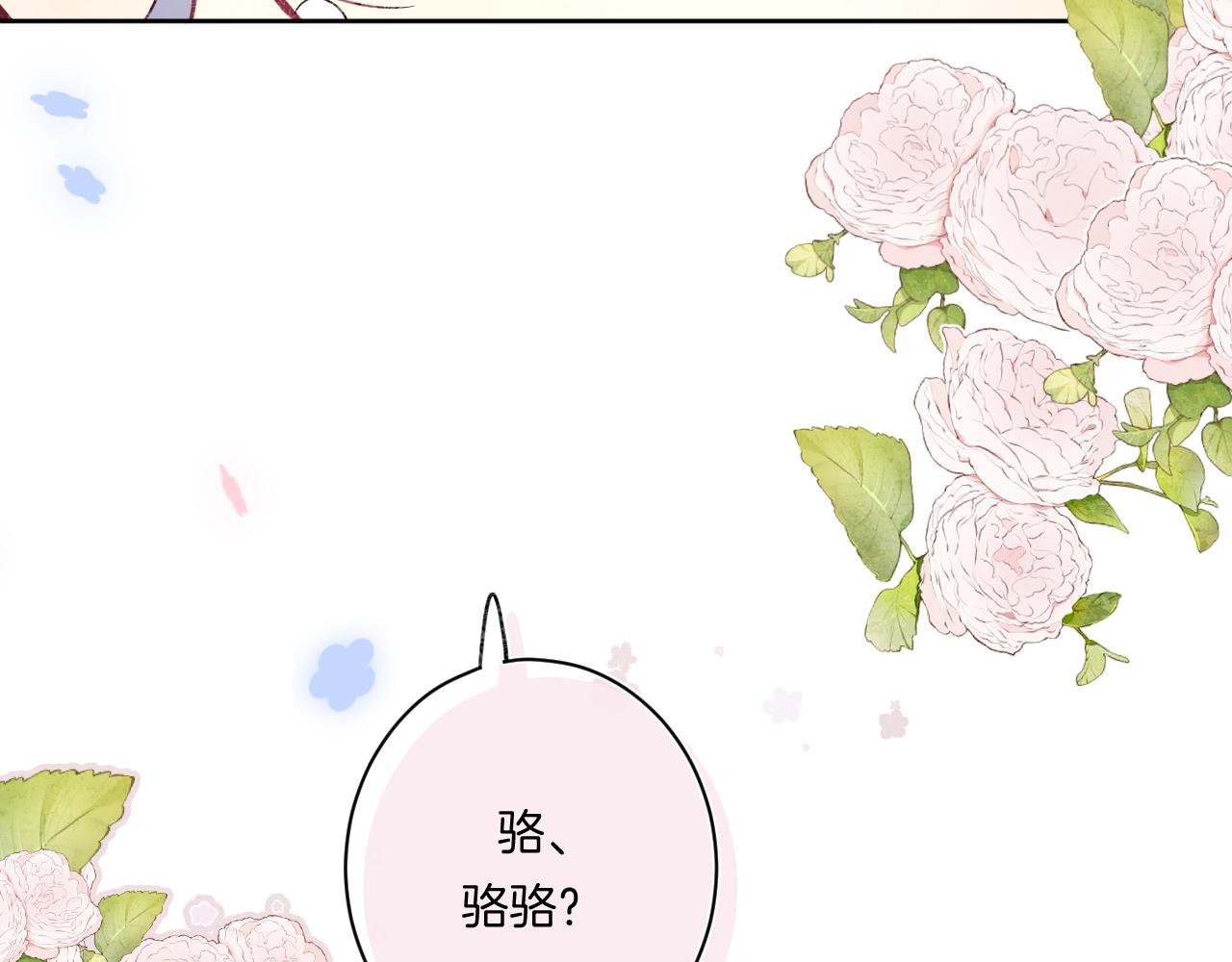 第100话所有的骆骆，都是我11