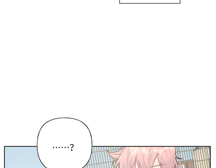 第31话 高级食物6
