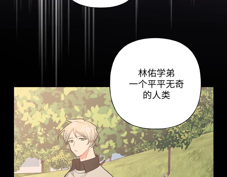 第31话 高级食物50
