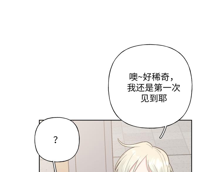 第31话 高级食物21