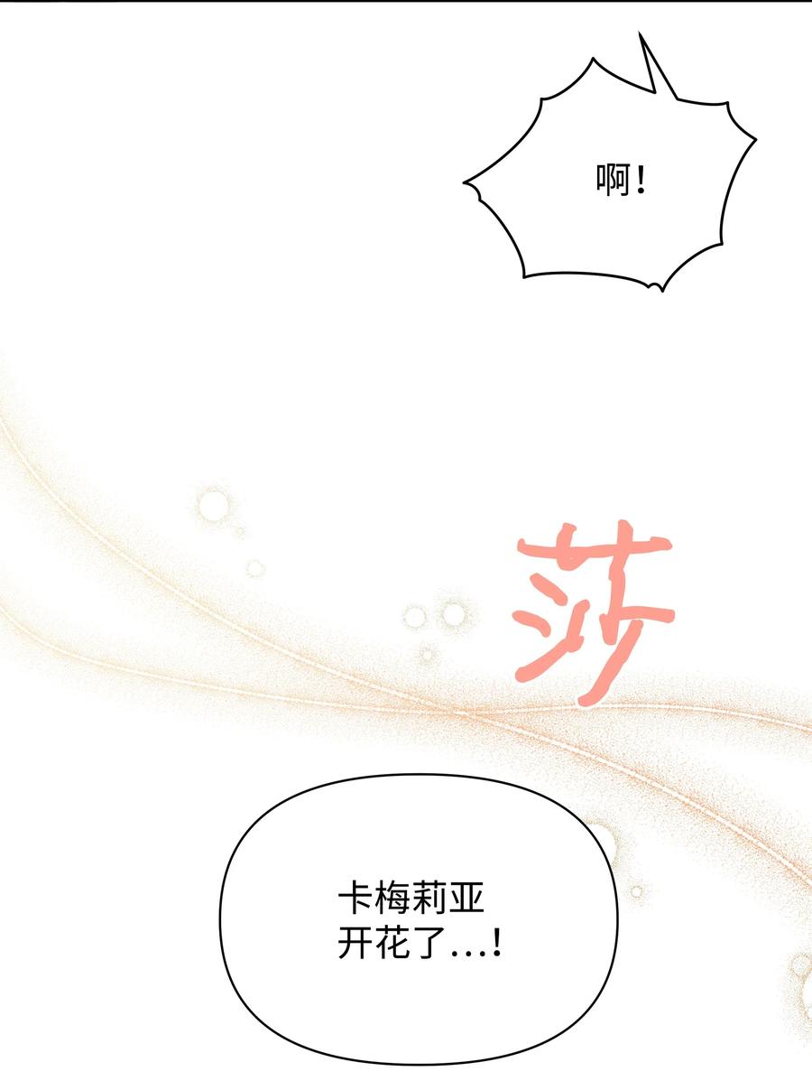018 噼啪的礼物35