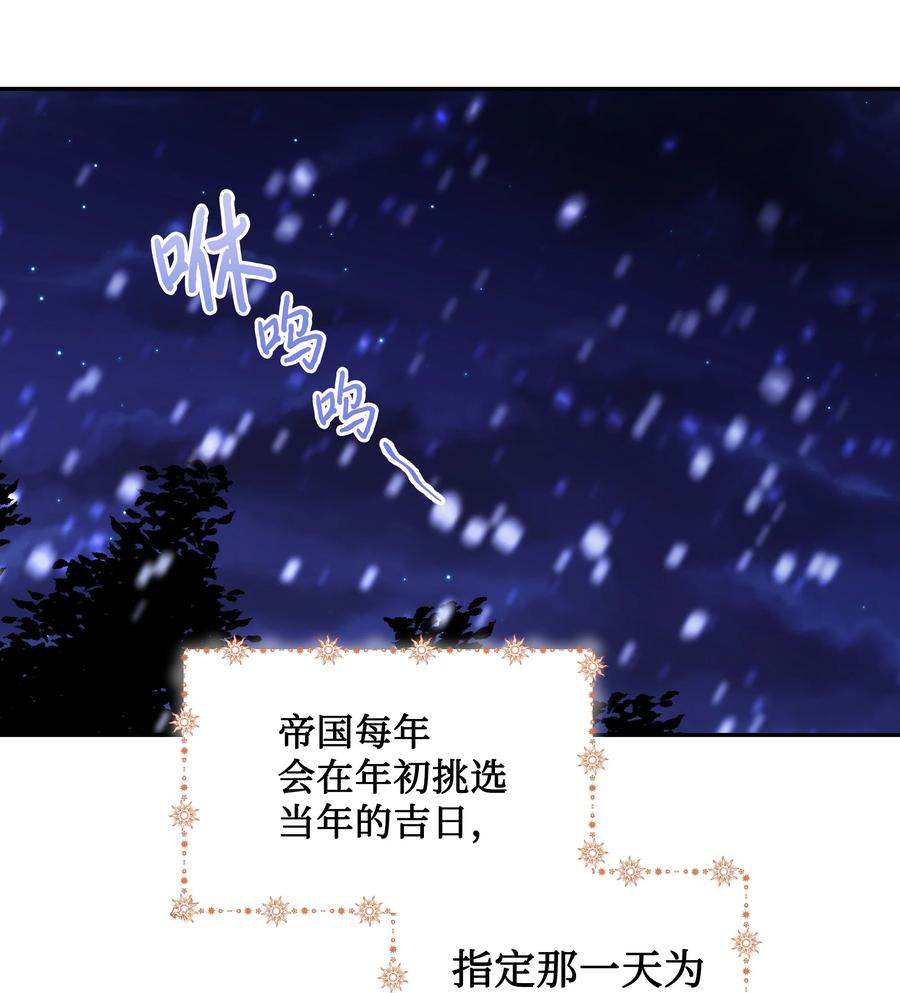 034 备战成人礼37