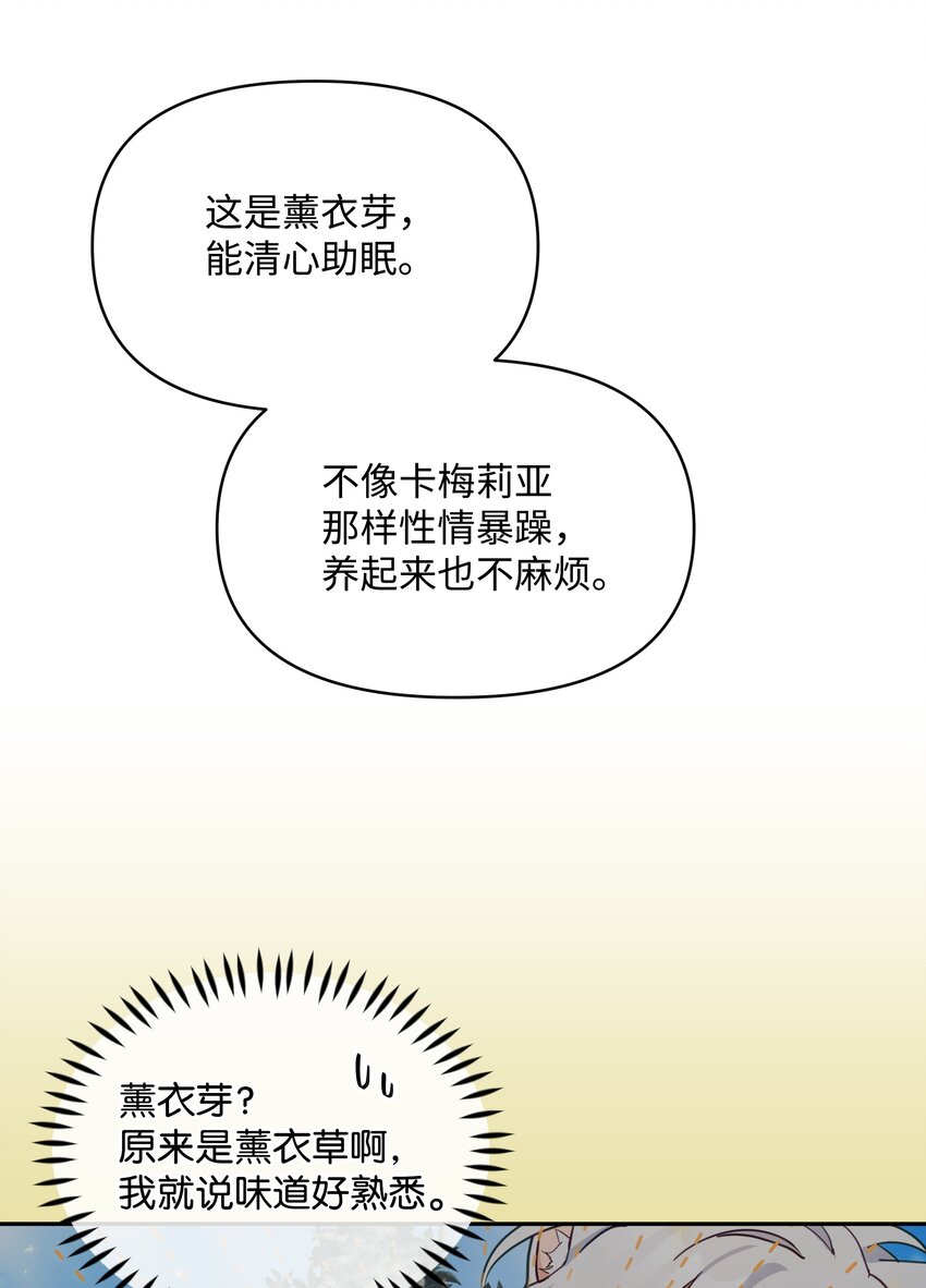 055 跟莱弗哥取经23