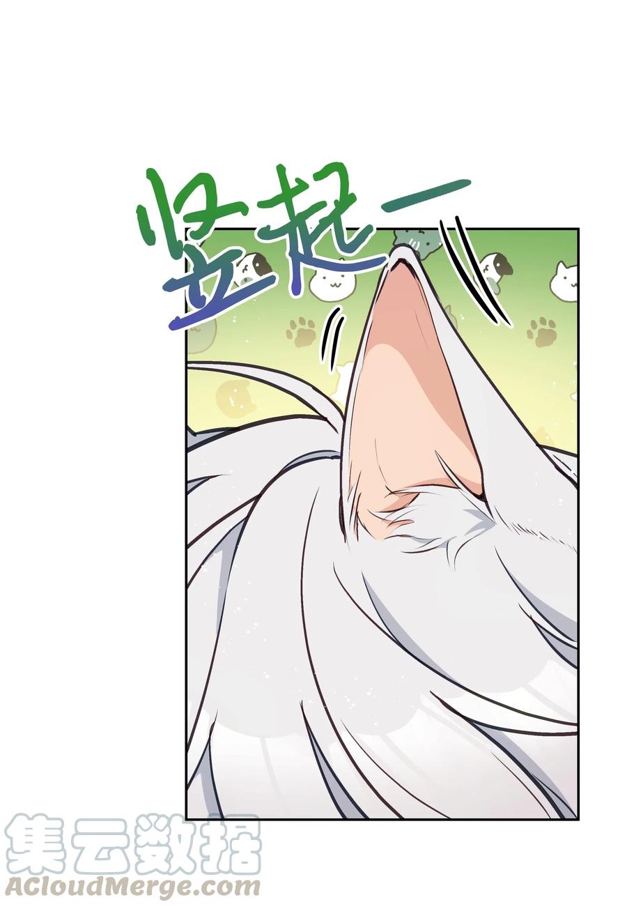 014 神奇花园54