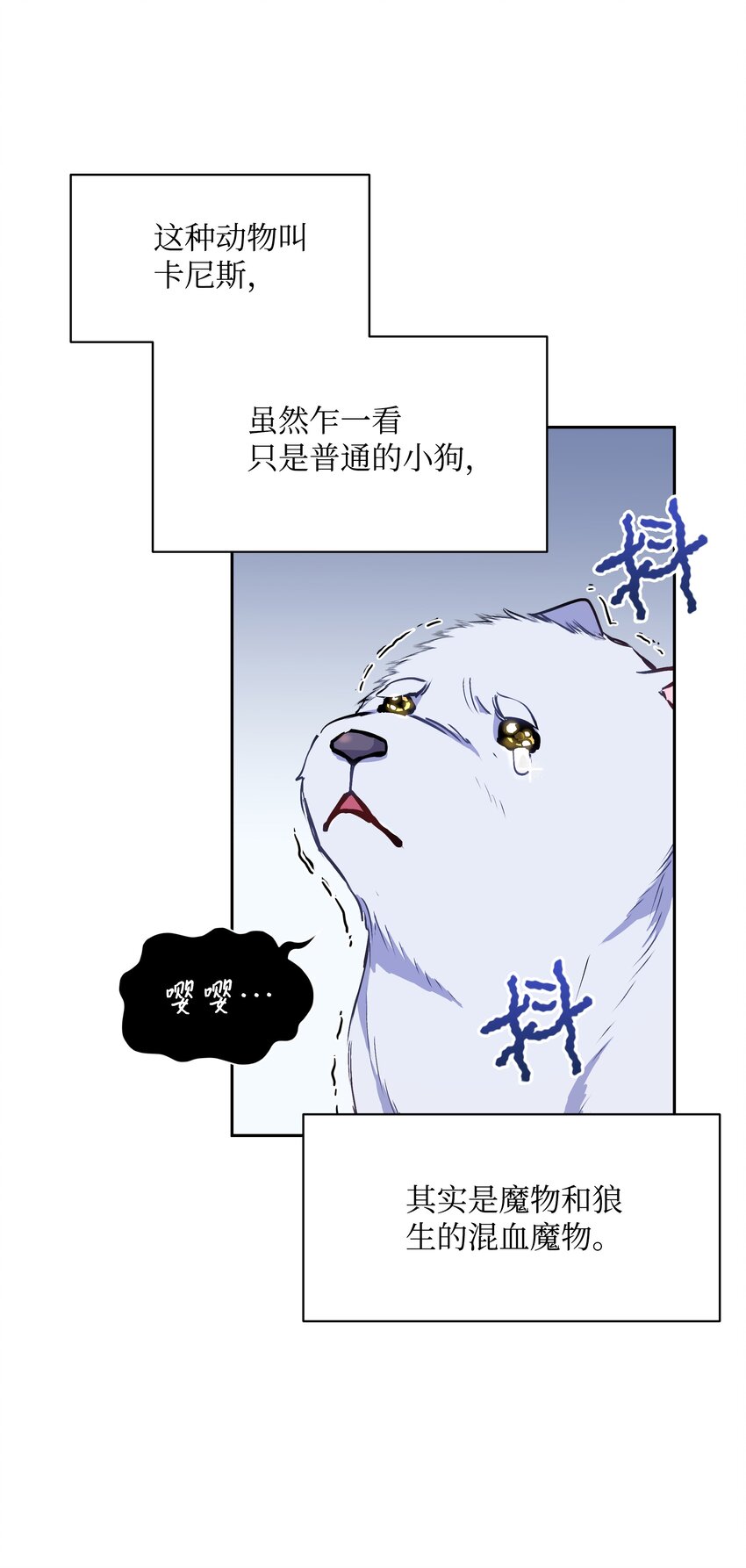 005 礼物26