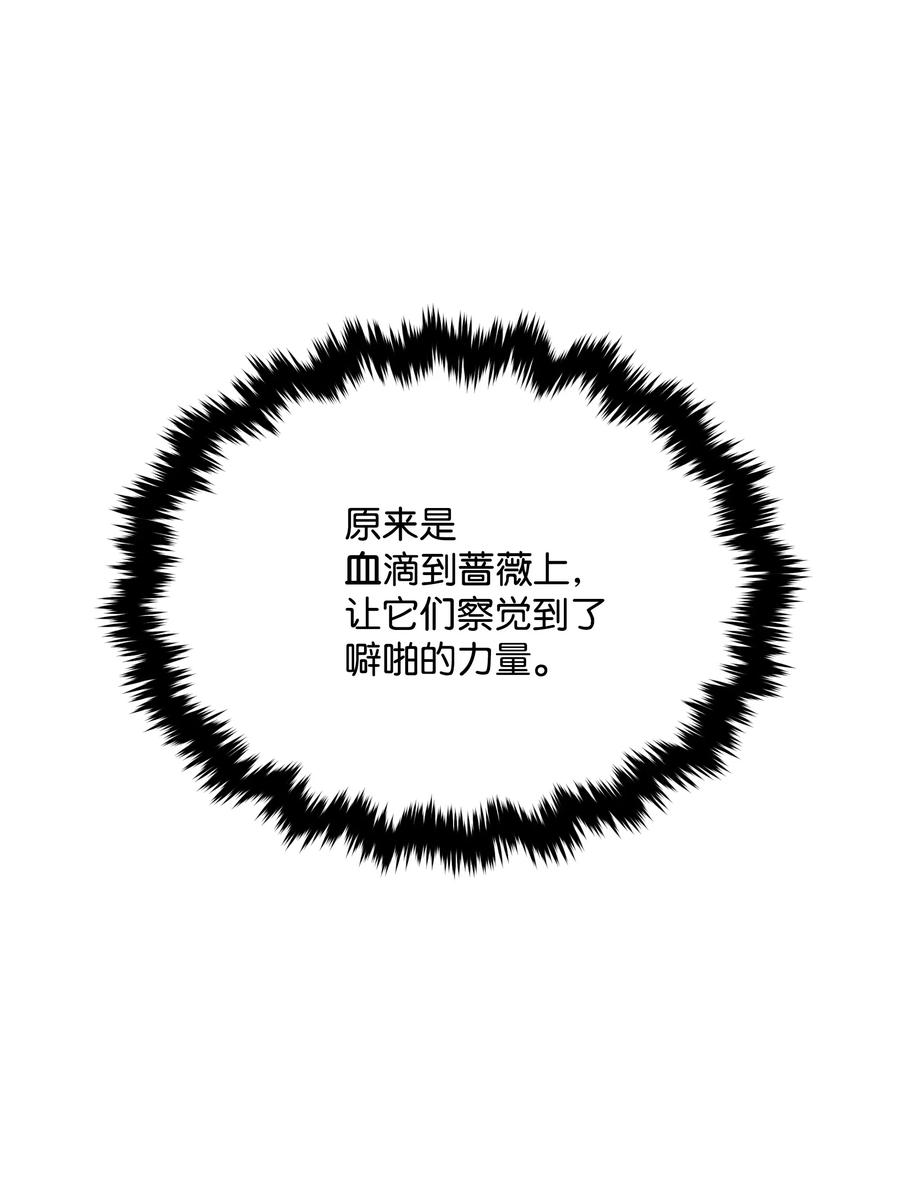 014 神奇花园16
