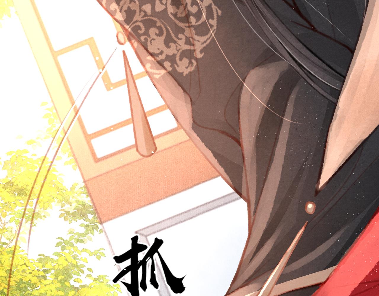 14话 陛下也喜欢男人？28
